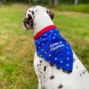 BANDANA pour chien SUPPORTERS collection FRENCHY MARTIN SELLIER