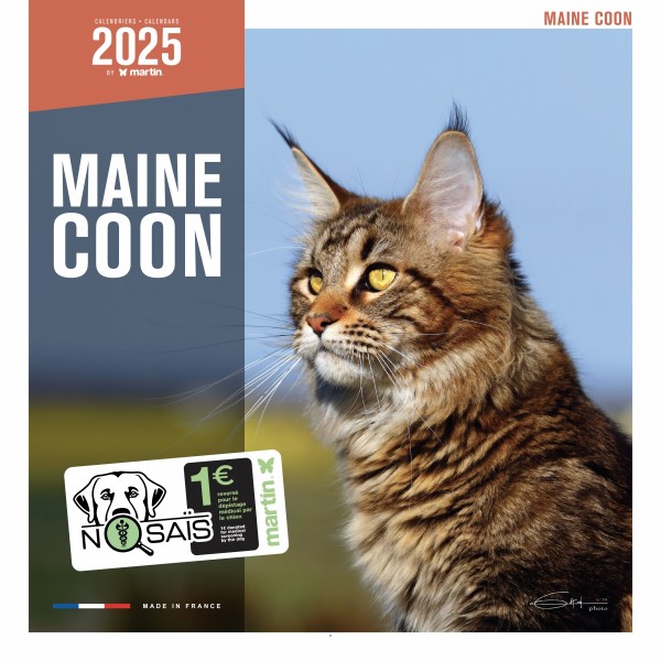 CALENDRIER chat 2025 MAINE COON MARTIN SELLIER