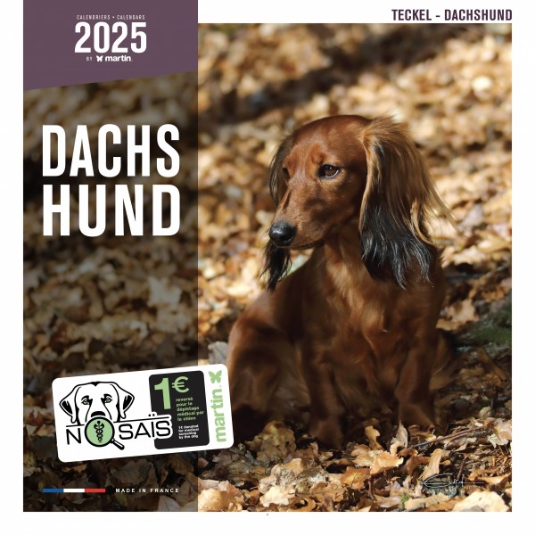 CALENDRIER chien 2025 TECKEL MARTIN SELLIER