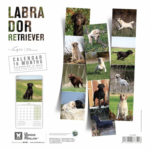 CALENDRIER chien 2025 LABRADOR MARTIN SELLIER