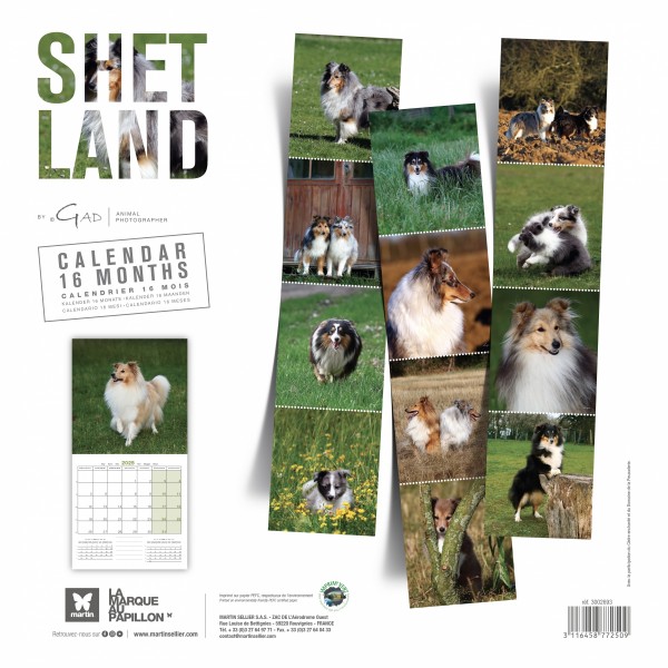 CALENDRIER chien 2025 SHETLAND MARTIN SELLIER