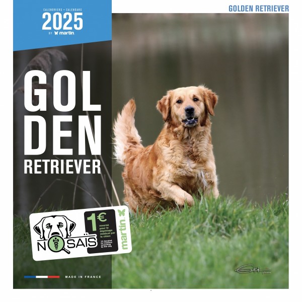 CALENDRIER chien 2025 GOLDEN RETRIEVER MARTIN SELLIER