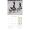 CALENDRIER chien 2025 LEKKAROD CHIENS DE TRAINEAUX MARTIN SELLIER