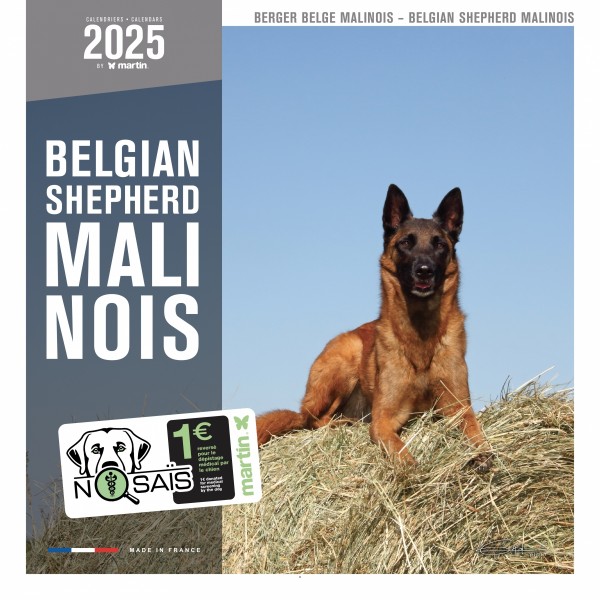 copy of Calendrier chien 2023-2024 Bouledogue français MARTIN SELLIER