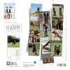 CALENDRIER chien 2025 BERGER BELGE MALINOIS SELLIER