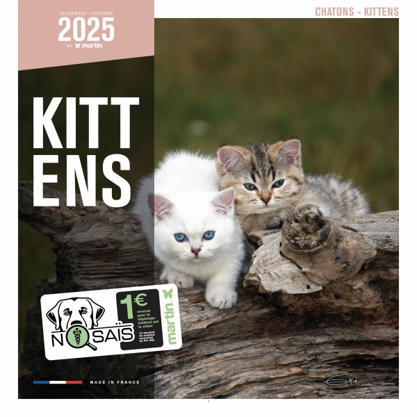 CALENDRIER chat 2025 CHATONS MARTIN SELLIER