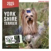 CALENDRIER chien 2025 YORSHIRE MARTIN SELLIER