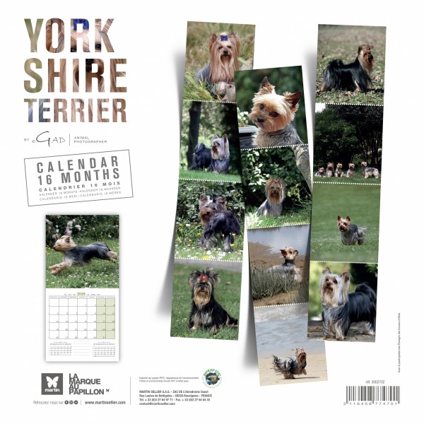 CALENDRIER chien 2025 YORSHIRE MARTIN SELLIER