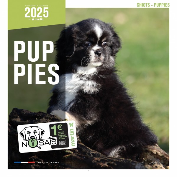 CALENDRIER chien 2025 CHIOTS MARTIN SELLIER