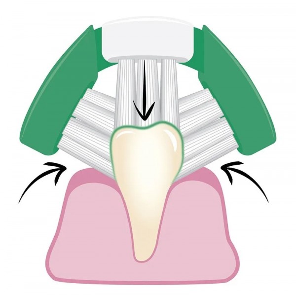 BROSSE A DENTS pour chien TRIPLE TETE BUGALUGS