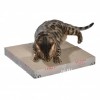 GRIFFOIR ZIGZAG AVEC HERBE A CHAT MARQUE BOBBY