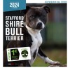 Calendrier chien 2023-2024 Stafford Shire Bull Terrier MARTIN SELLIER