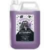 Shampooing pour chien 4 IN 1 Lavande et Camomille BUGALUGS