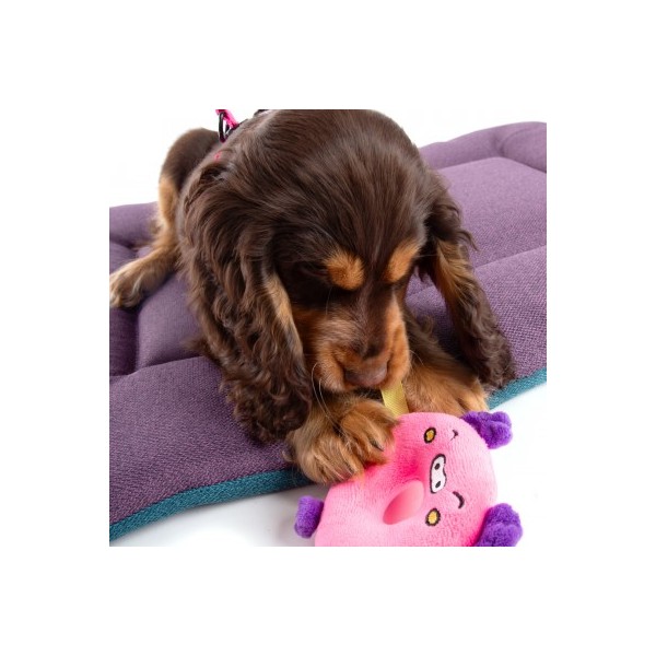 Jouet pour chien Peluche Cochon DONUT MARTIN SELLIER