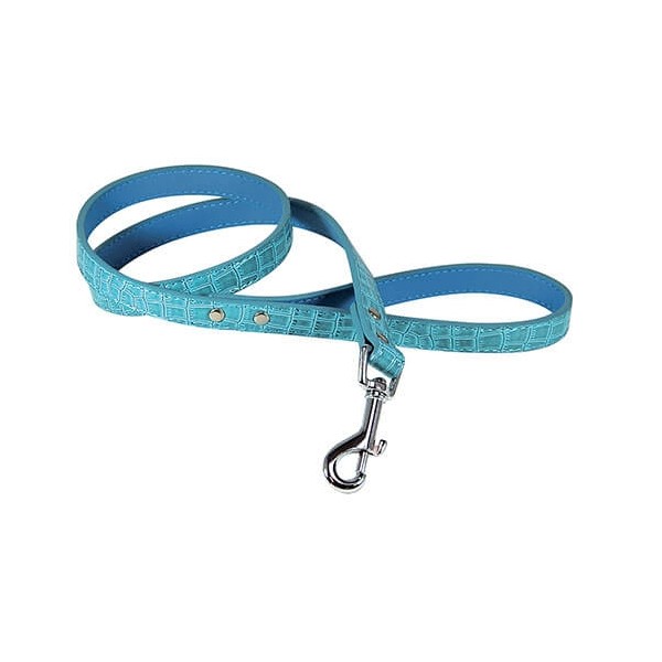 copy of Collier pour chien Galon noir VIVOG