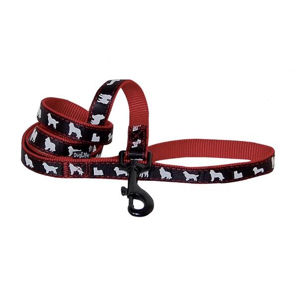 copy of Collier pour chien Galon noir VIVOG