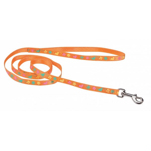 copy of Laisse en cuir blanc Glacon pour chien VIVOG