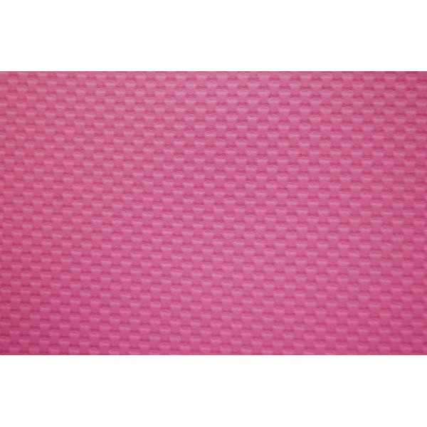 TAPIS ANTIDERAPANT de toilettage couleur rose VIVOG