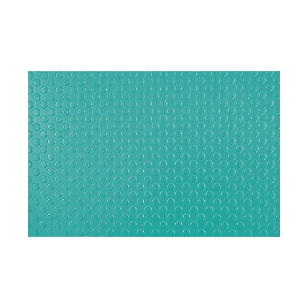 TAPIS ANTIDERAPANT de toilettage couleur vert VIVOG