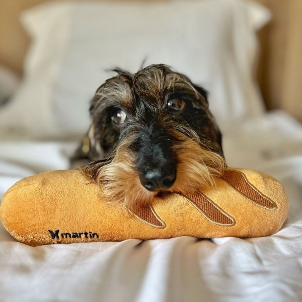 JOUET pour chien Peluche Baguette française MARTIN SELLIER