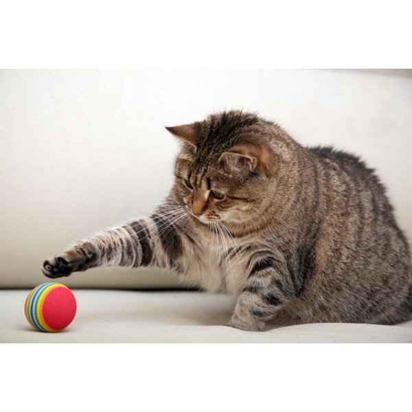 LOT de 4 balles multicolores pour chat BEEZTEES