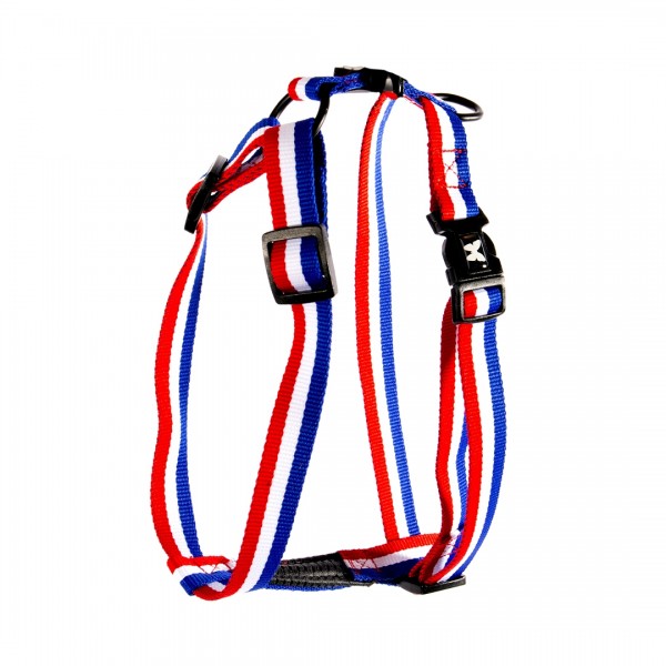 Harnais pour chien TRICOLORE en nylon MARTIN SELLIER