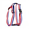 Harnais pour chien TRICOLORE en nylon MARTIN SELLIER