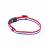 COLLIER pour chien TRICOLORE en nylon MARTIN SELLIER