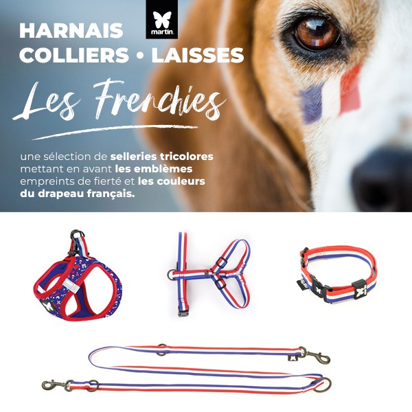 LAISSE pour chien TRICOLORE multipositions en nylon MARTIN SELLIER