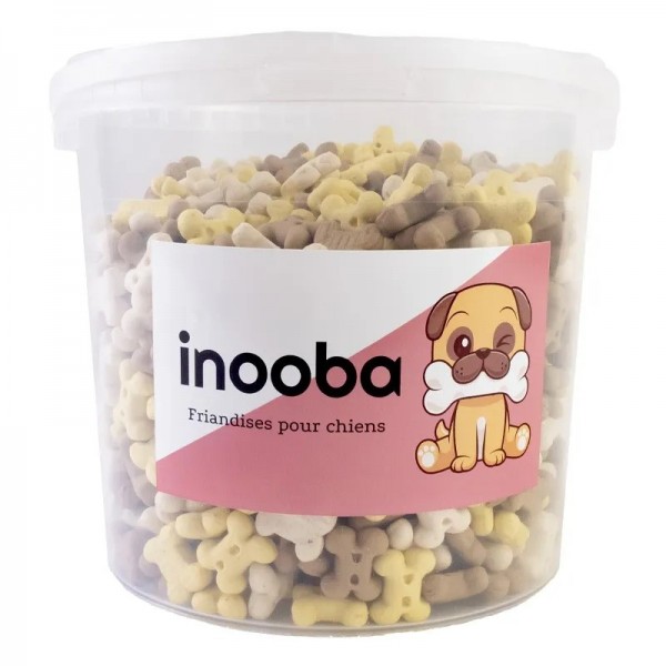 FRIANDISES pour chien Seau biscuits forme mini os INOOBA