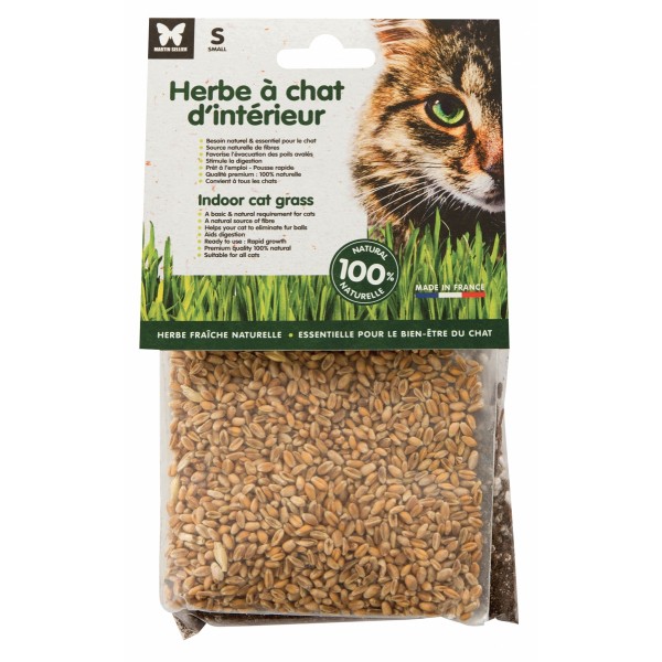 Graines d'herbe à chat pour chats d'INTERIEUR à semer MARTIN SELLIER