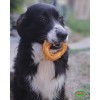 FRIANDISES pour chien RINGS DE COLLAGENE au poulet BUBIMEX