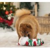 copy of Boule de Noël FÉLI KADO pour chat WOUAPY