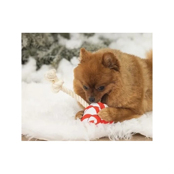 copy of Boule de Noël FÉLI KADO pour chat WOUAPY