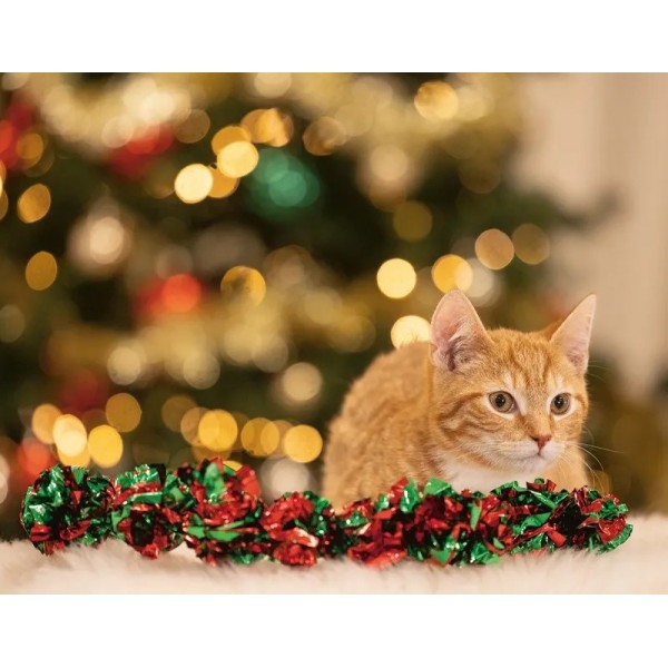 JOUET pour chat GUIRLANDE DE NOËL BEEZTEES