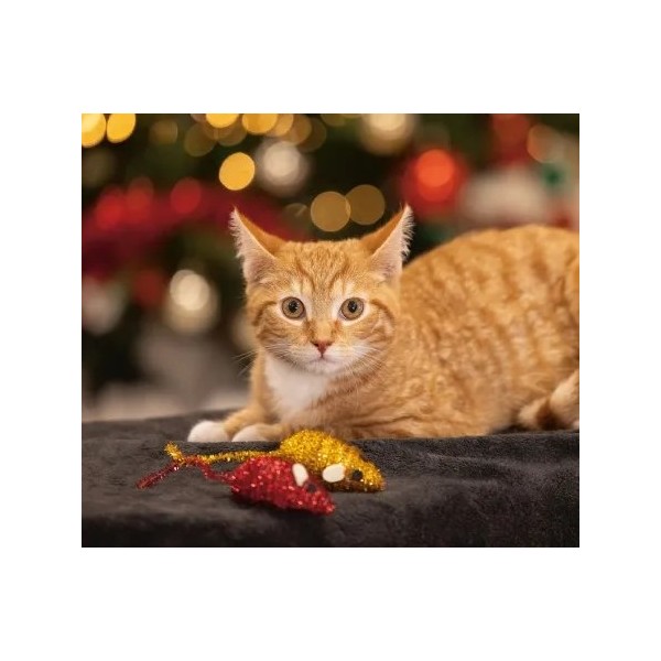 copy of Boule de Noël FÉLI KADO pour chat WOUAPY