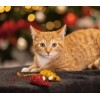 LOT DE 2 JOUETS pour chat SOURIS DE NOËL BEEZTEES