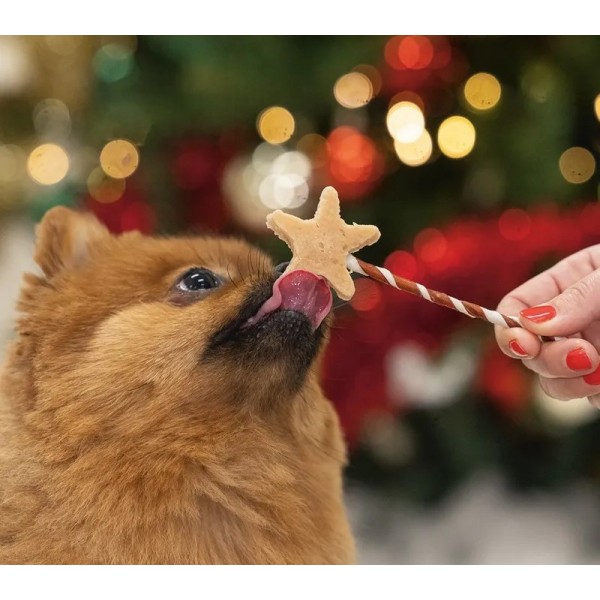 BISCUITS pour chiens Sticks ETOILE DE NOEL BEEZTEES