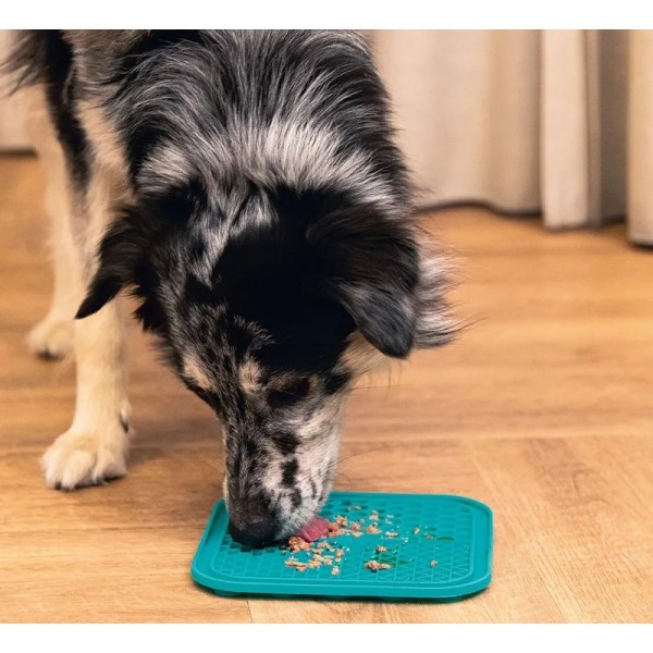 TAPIS A LECHER pour chien carré vert BEEZTEES