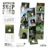 CALENDRIER chien 2025 BERGER AUSTRALIEN MARTIN SELLIER