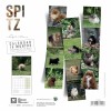 CALENDRIER chien 2025 SPITZ MARTIN SELLIER