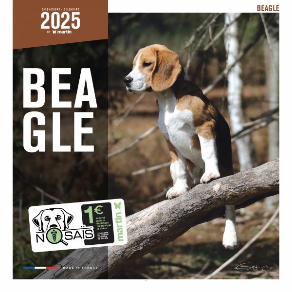 CALENDRIER chien 2025 BEAGLE MARTIN SELLIER