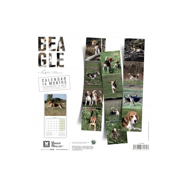 CALENDRIER chien 2025 BEAGLE MARTIN SELLIER