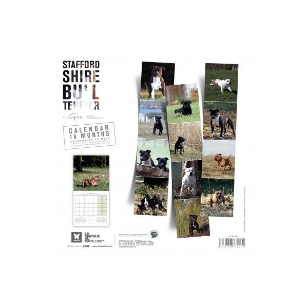 CALENDRIER chien 2025 STAFFORD SHIRE BULL TERRIER MARTIN SELLIER