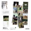 CALENDRIER chien 2025 STAFFORD SHIRE BULL TERRIER MARTIN SELLIER