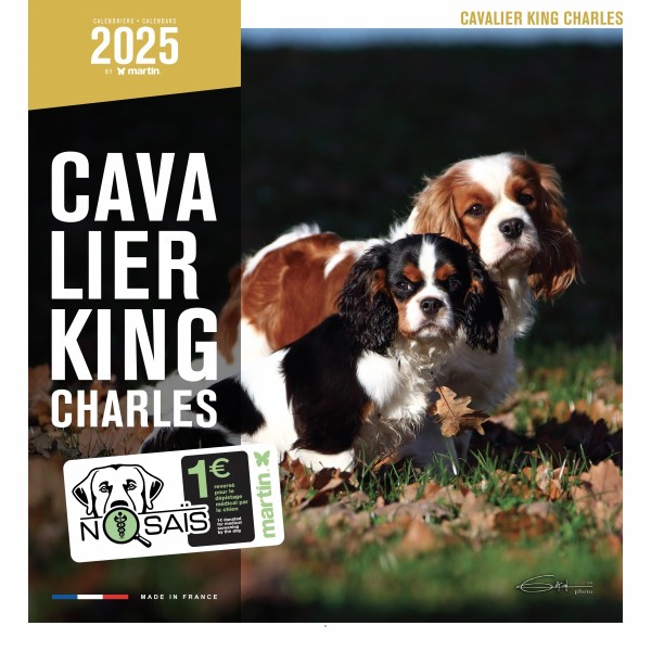 CALENDRIER chien 2025 CAVALIER KING CHARLES MARTIN SELLIER