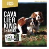 copy of Calendrier chien 2023-2024 Bouledogue français MARTIN SELLIER