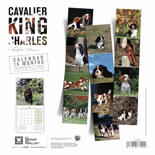 CALENDRIER chien 2025 CAVALIER KING CHARLES MARTIN SELLIER