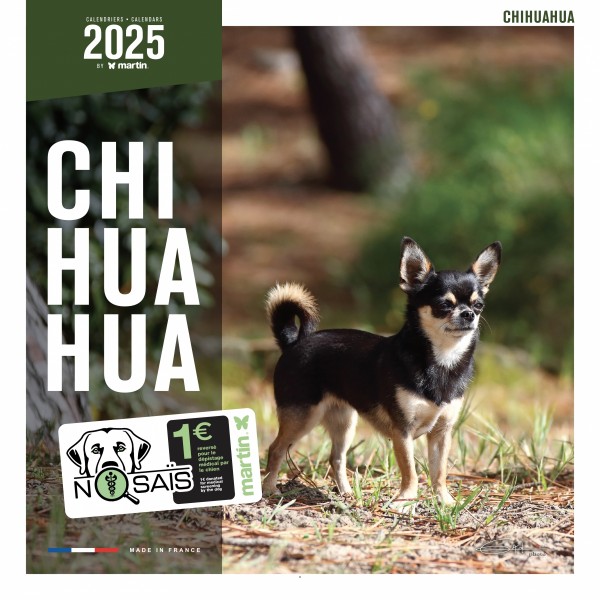 CALENDRIER chien 2025 CHIHUAHUA MARTIN SELLIER