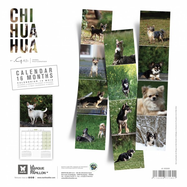 CALENDRIER chien 2025 CHIHUAHUA MARTIN SELLIER